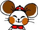 year of the rat