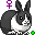 E-Rabbit.gif