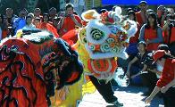 Chinese New Year Lion Dance