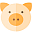 2019 Astrology Pig