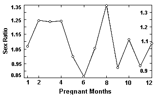 Japanese Pregnancy Chart