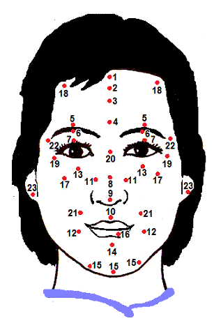 Chinese Face Chart