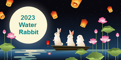 Lunar New Year Rabbit 2023 – Vanbase