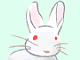 White Rabbit