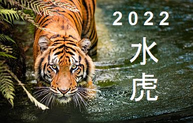 Chinese Fortune Calendar 2022 2022 Chinese Zodiac Predictions: Black-Water Tiger [Master Tsai]