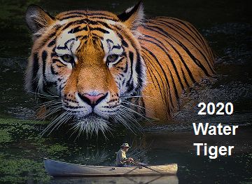2022 Chinese Zodiac Tiger Vs. Horoscope Birth Chart [Master Tsai]