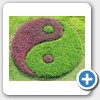 Yin Yang icon-Z6