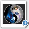 Yin Yang icon-yy-japan