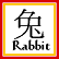 rabbit